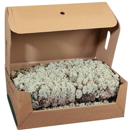 Sphagnum Flatmos