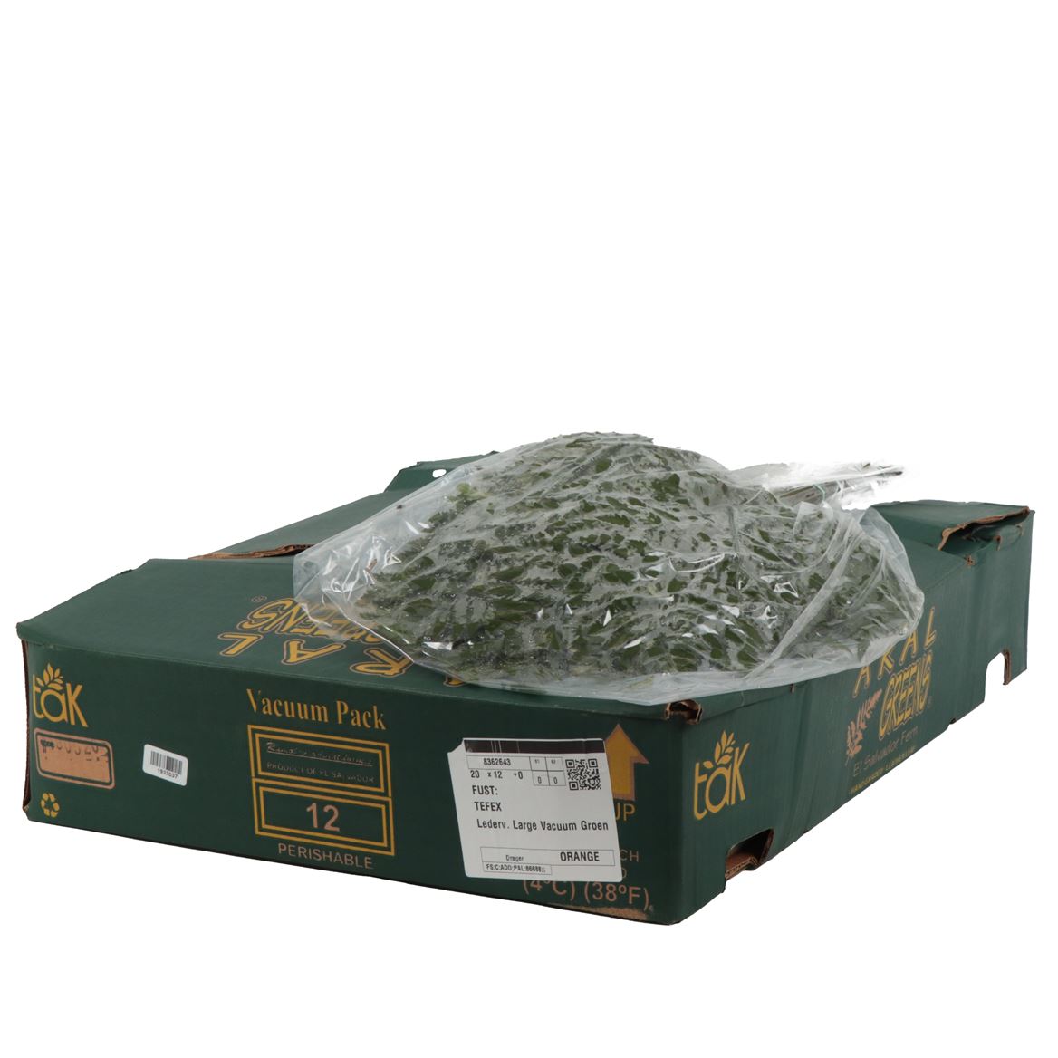 Leatherleaf Per Bunch