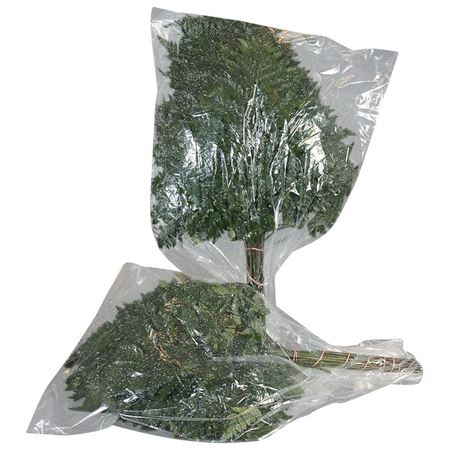 Leatherleaf Per Bunch