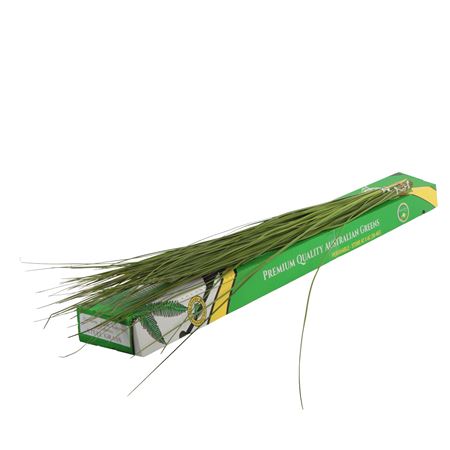Steelgrass