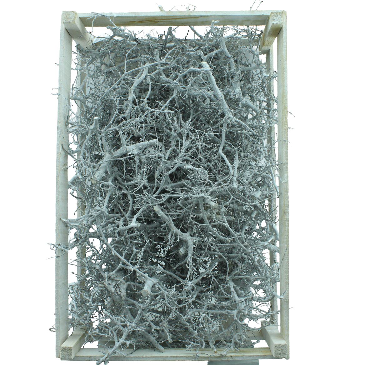 Dried Mat