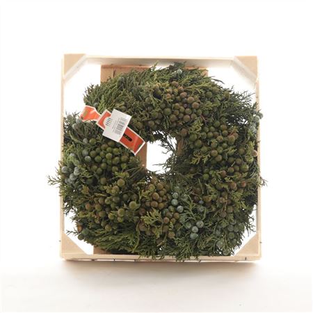 Krans Juniperus KRGR