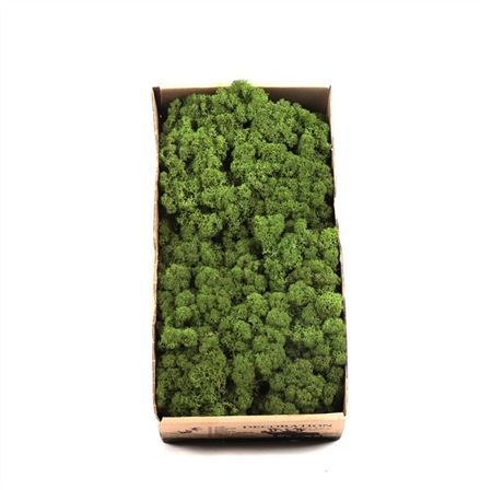 Sphagnum Flatmos