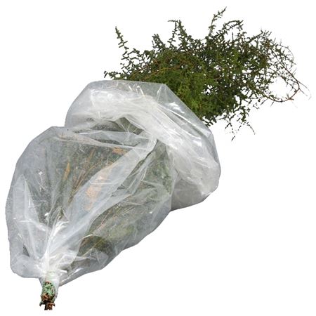 Various Greenery 130cm