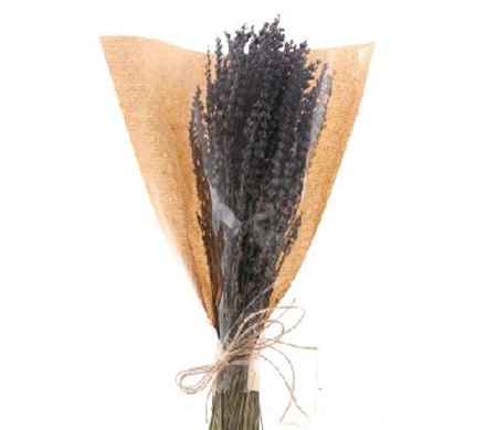 Lavandula Fresh Per Bunch 50cm 100gram