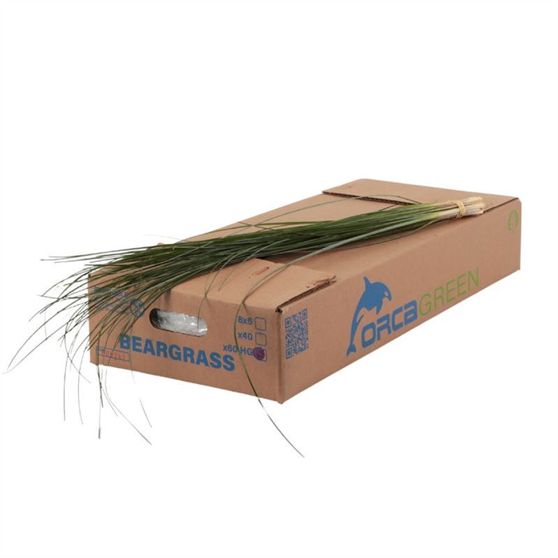 Beargras Per Bunch