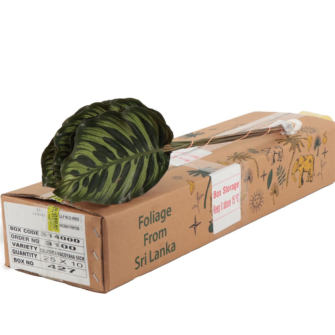 Various Greenery 50cm