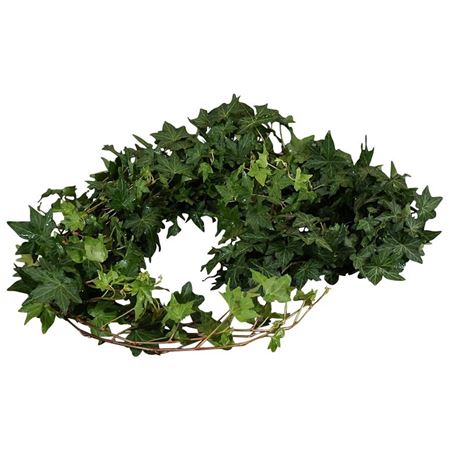 Hedera Leaves 80cm