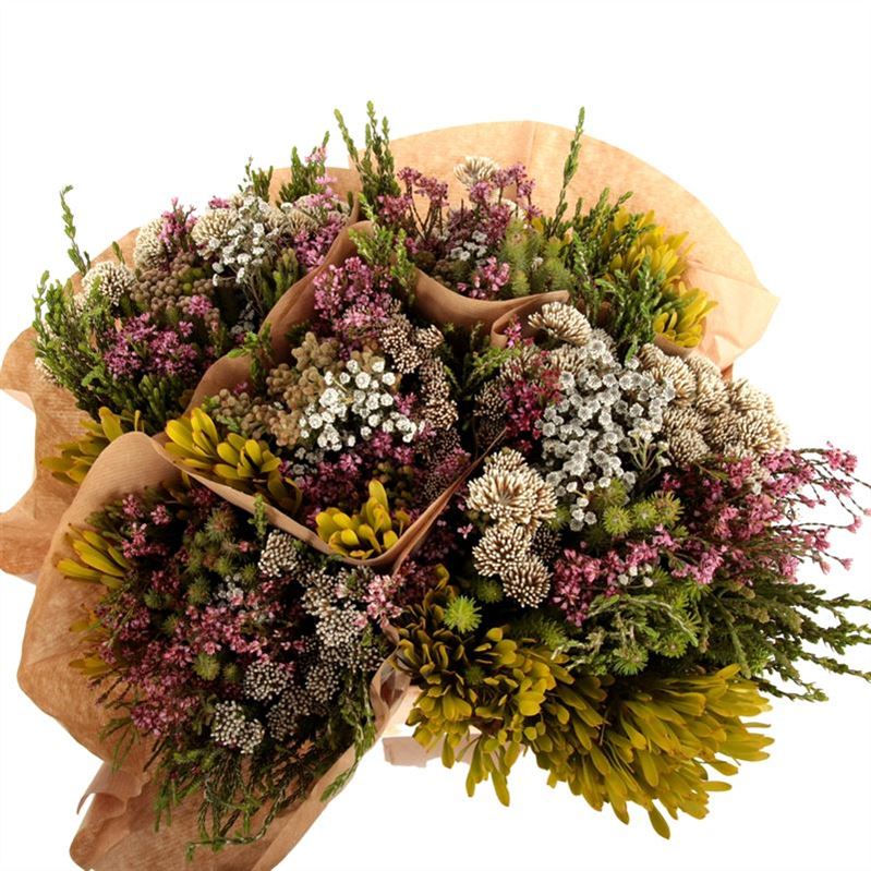 Cape Green Mixed In Bunch (BERZELIA) 40cm