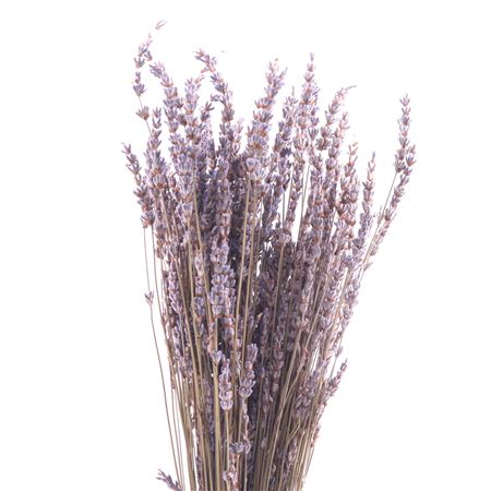 Lavendel Gedroogd DROO