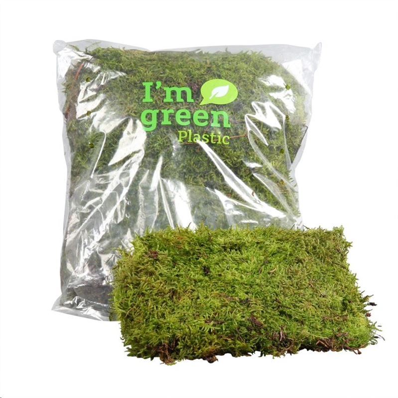 Sphagnum Flatmos