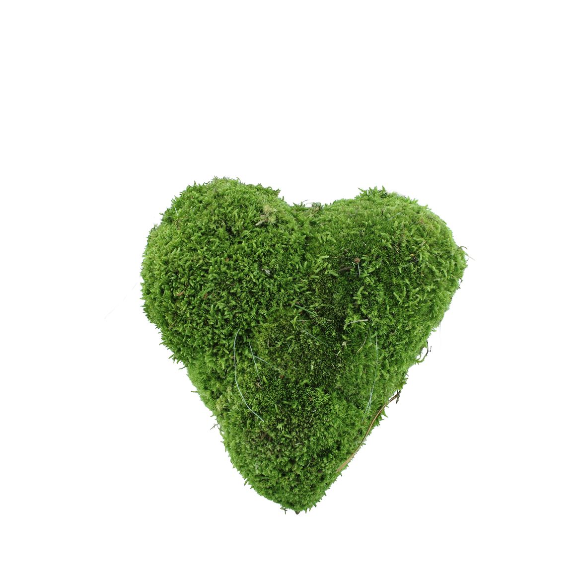 Sphagnum Flatmos