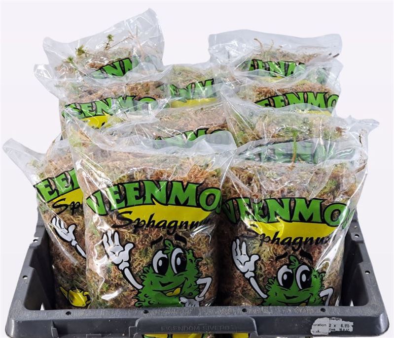 Sphagnum (VEENMOS)
