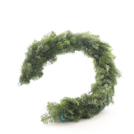 Guirl. Nordmann KRGR