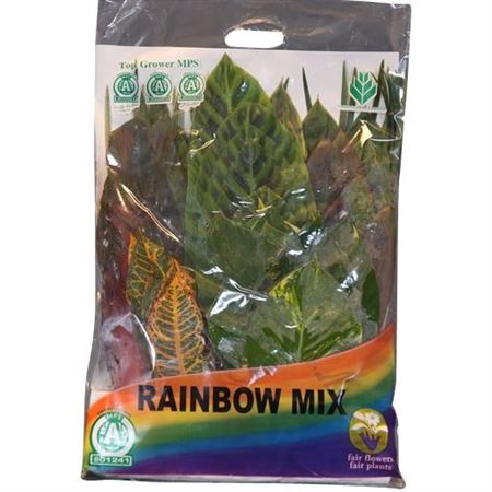 Decoratiegreen Gemen