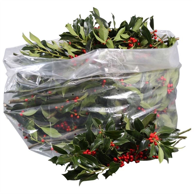Holy Leaf Red Berry Per Bunch